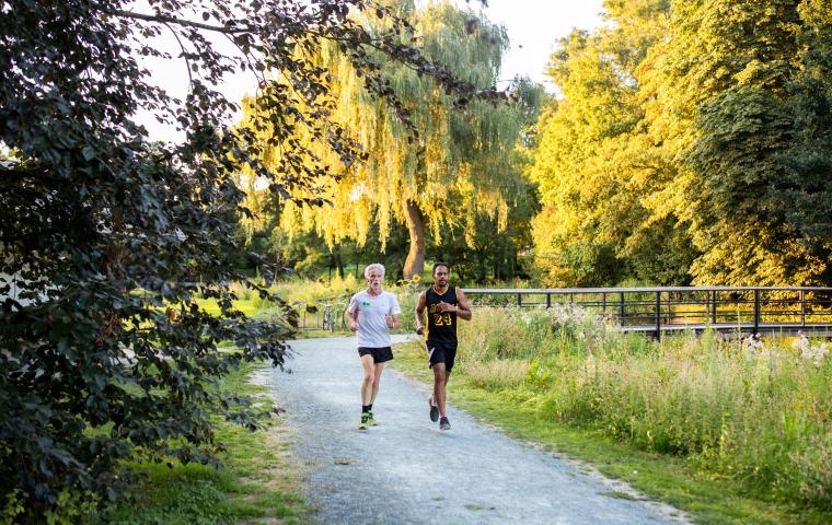 2 mensen joggen in het Vrijbroekpark tussen het groen.
