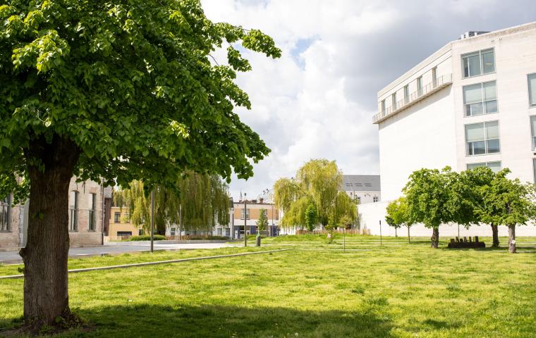 Bomen in het Tinelpark met zicht op de kazerne Dossin.