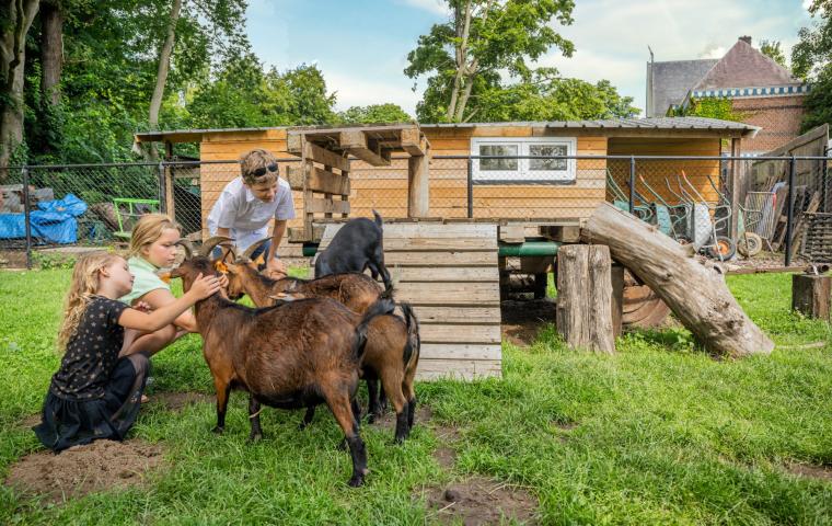 Kinderen aaien geitjes in de kinderboerderij in Tivolipark