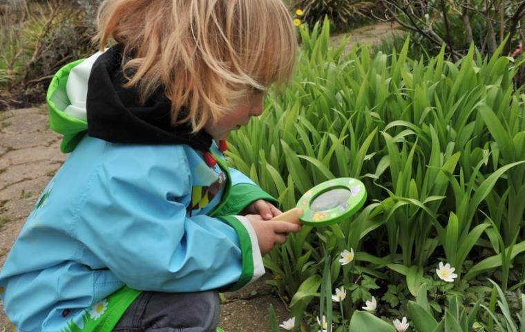 Een kind zoekt met een loep naar insecten tussen de planten