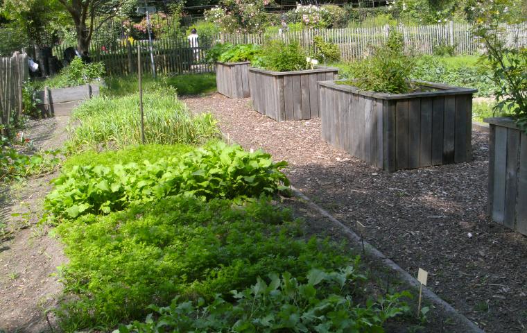 De moestuin in Tivoli