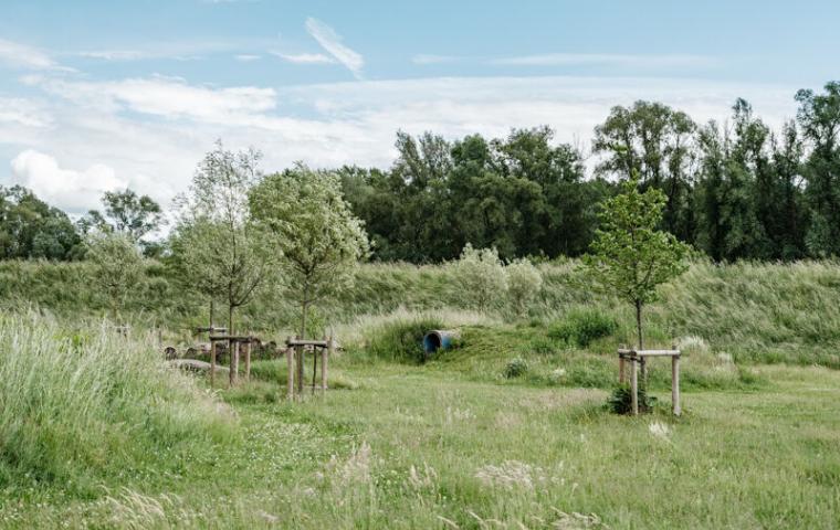 Kleine heuvels in het speelbos met tunnel om door te kruipen