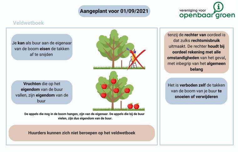 Regelgeving overhangende takken voor 01/09/2021