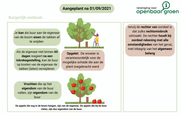 Regelgeving overhangende takken na 01/09/2021