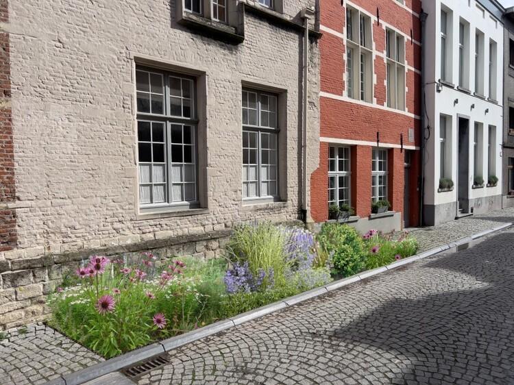 Zo kan een straattuin eruitzien in de Nonnenstraat
