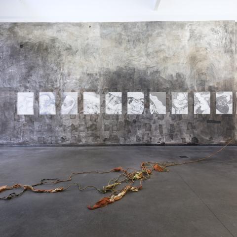 Tentoonstellingsruimte met zwart/wit werken aan de muur 