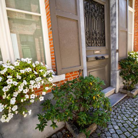 Een groene gevel in Mechelen
