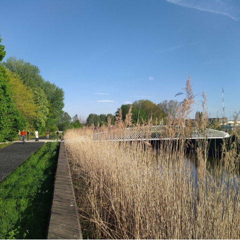 Een toekomstbeeld van de fiets- en voetgangersbrug over de Dijle, aan de zijde van Nekkerspoel. 