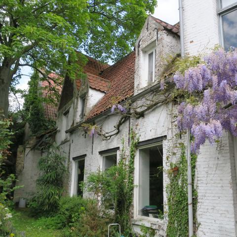 De site Schrijnstraat 25 bestaat uit een oude Begijnenwoning, een atelier en een grote tuin.