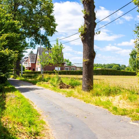 De Prinsenhoekstraat voor de werken, met verschillende putten in het wegdek.