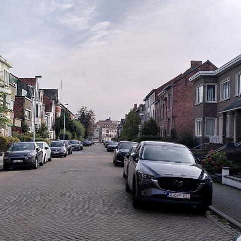 De Dageraadstraat voor de ontharding
