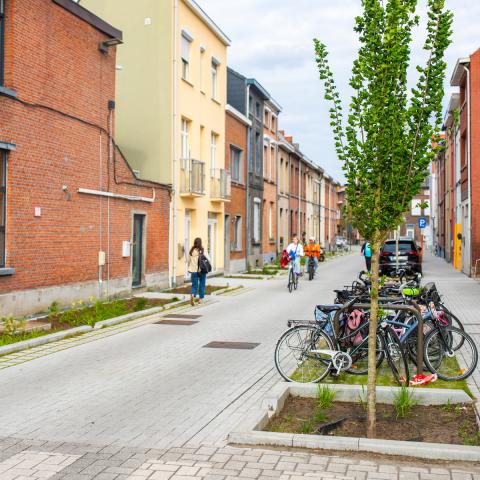 Vroeger was dit een van de warmste straten. Extra ontharding en groen zal voor meer koelte zorgen tijdens warme zomers.
