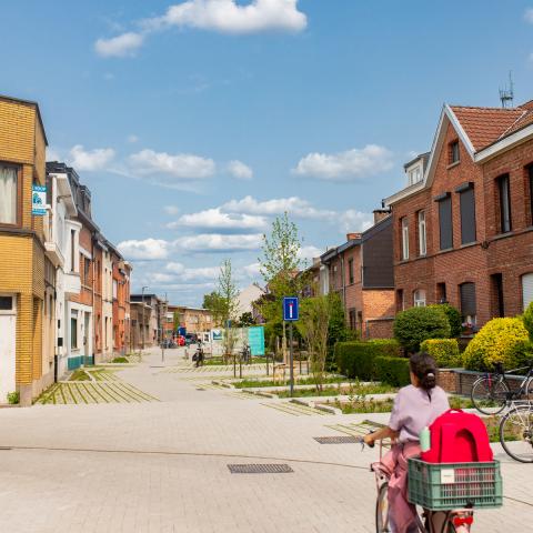 De ontharding zal voor kleurrijke zomers zorgen. 