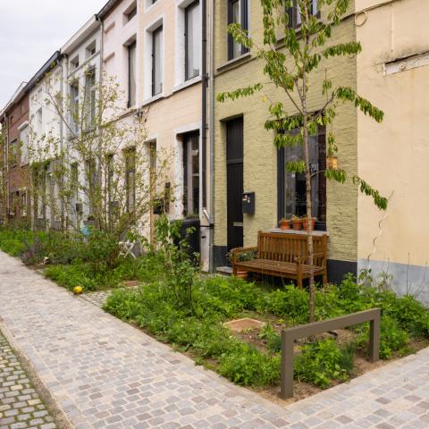 Korte Veluwestraat