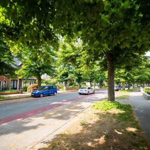 Ridder Dessainlaan