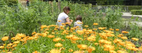 Moeder en dochter werken samen in de samentuin van het Tivolipark