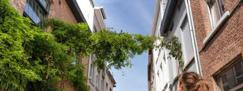 Groenslinger in een Mechelse straat