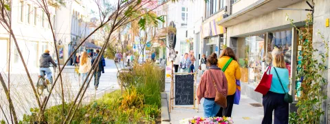 Drie vrouwen die op de rug gefotografeerd zijn terwijl ze aan het windowshoppen zijn in de Onze-Lieve-Vrouwestraat.