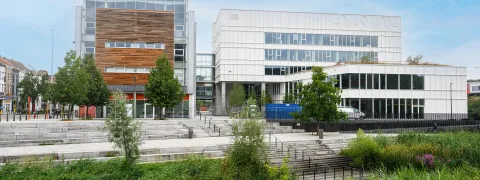 Thomas More: na de werken